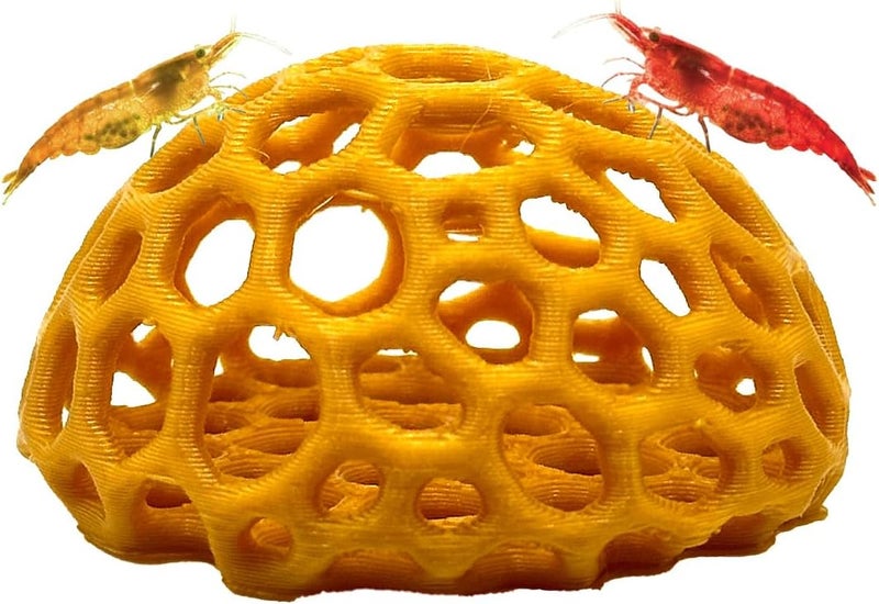 CTWPets Store Shrimp Dome Hide - Aquarium Cherry Shrimp Hide - Cherry Shimpe Hide (Honey Gold) - Image 1